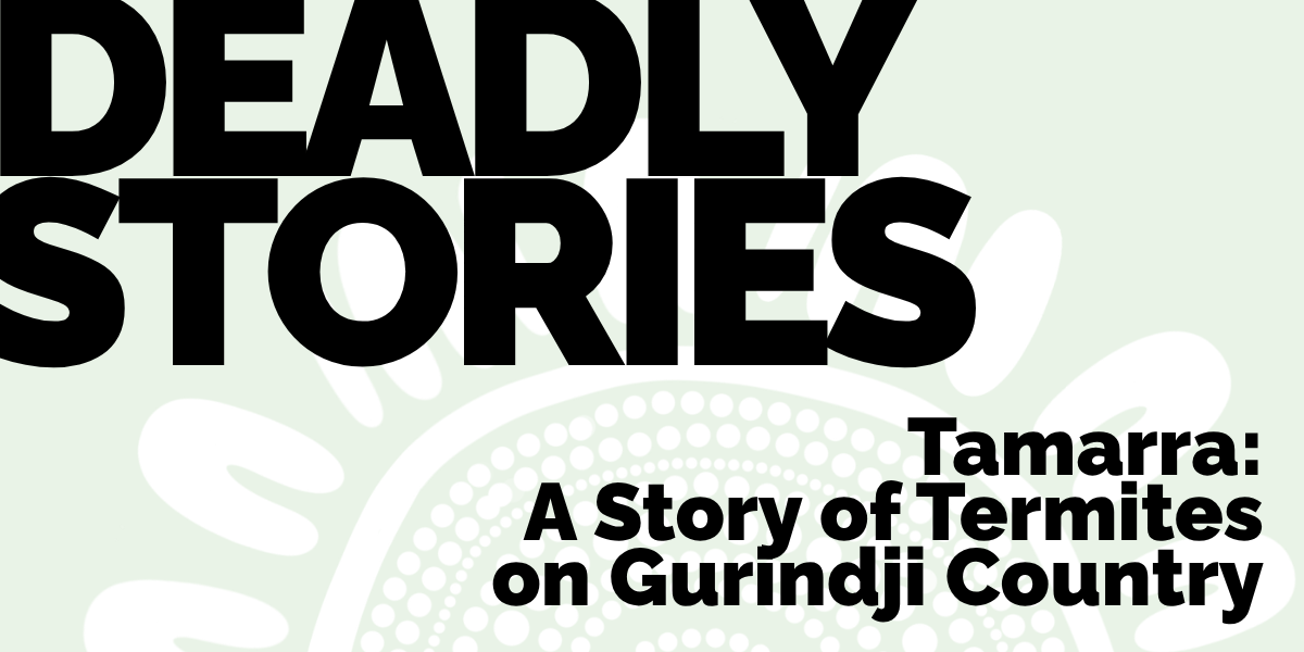 Celebrate Book Week with Tamarra: A Story of Termites on Gurindji Country