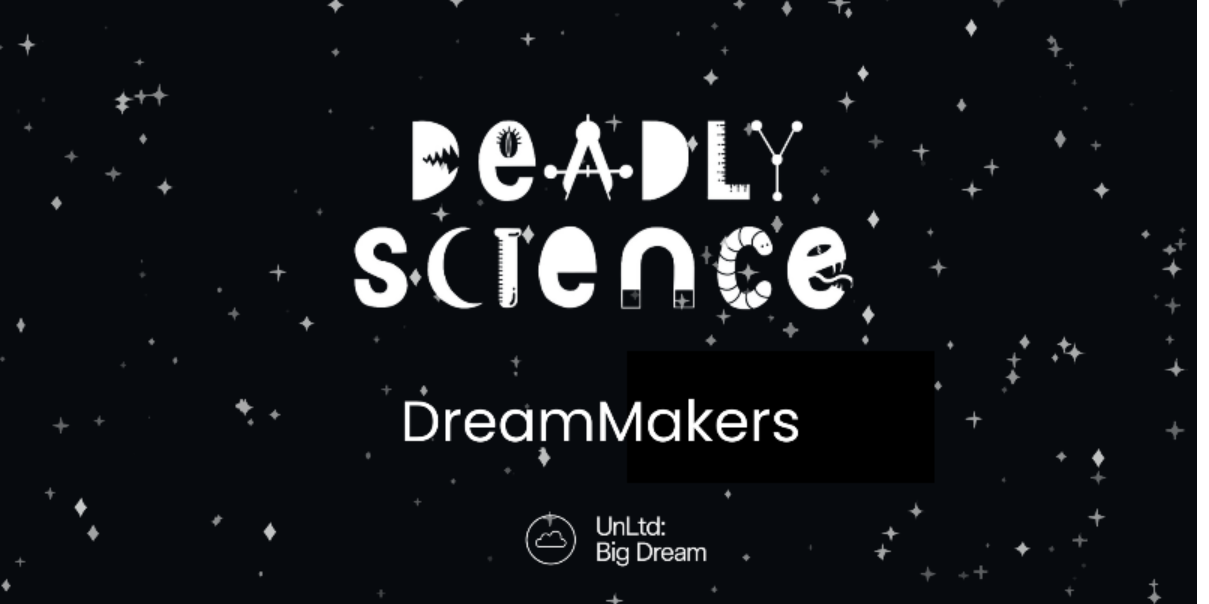 DreamMakers Campaign – UnLtd.’s Big Dream Event