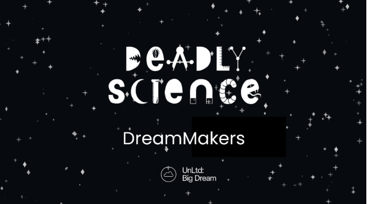 DreamMakers Campaign – UnLtd.’s Big Dream Event