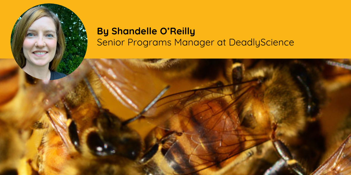 Looking Closely at Country | Bees, Biosecurity and the Science Around Us