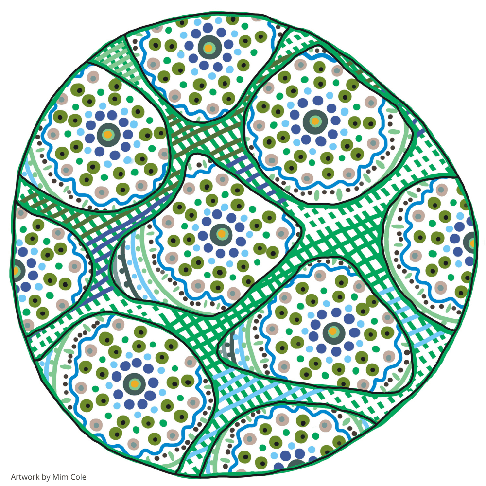 Colourful Indigenous artwork by Gulumoerrgin (Larrakia), Wardaman, and Karajarri visual artist, Mim Cole, from Darwin, Northern Territory, Australia. 