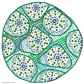 Colourful Indigenous artwork by Gulumoerrgin (Larrakia), Wardaman, and Karajarri visual artist, Mim Cole, from Darwin, Northern Territory, Australia. 