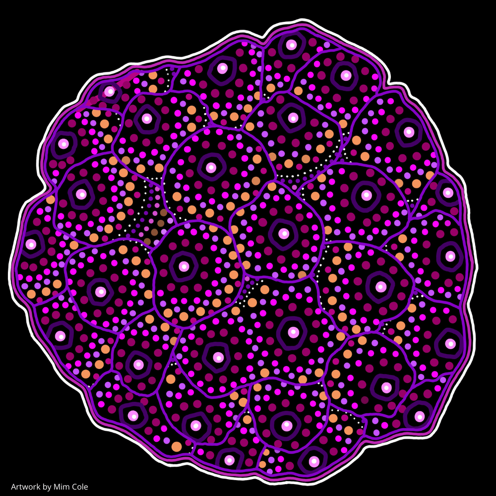 Colourful Indigenous artwork by Gulumoerrgin (Larrakia), Wardaman, and Karajarri visual artist, Mim Cole, from Darwin, Northern Territory, Australia. 