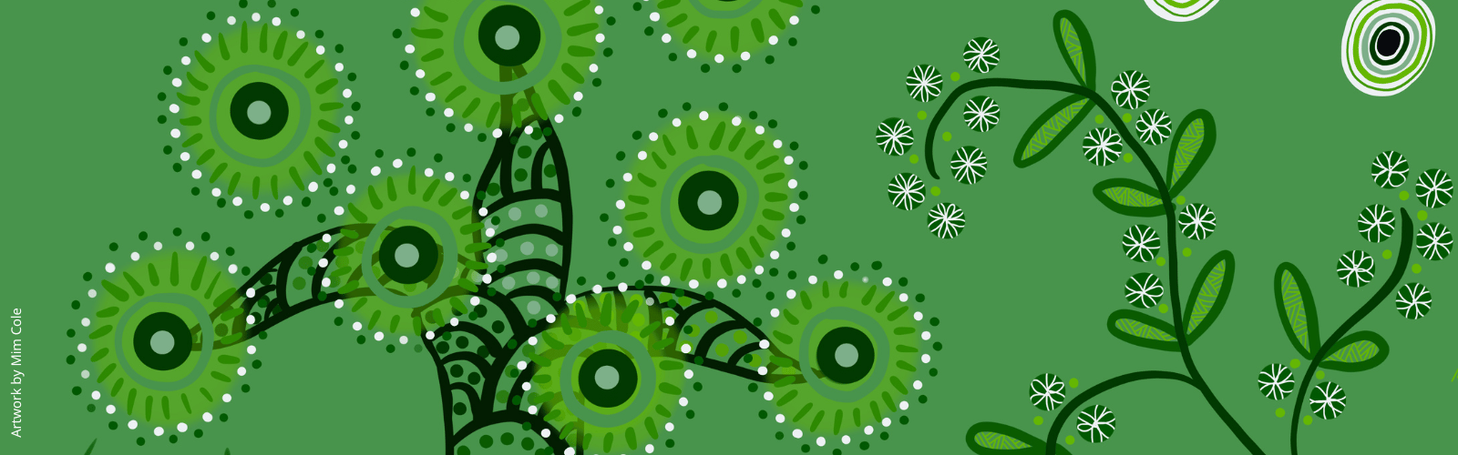 Colourful Indigenous artwork by Gulumoerrgin (Larrakia), Wardaman, and Karajarri visual artist, Mim Cole, from Darwin, Northern Territory, Australia. 
