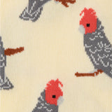 Gang Gang Cockatoo Socks
