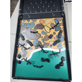 Engineering of Fish Traps Kit - River/Ocean Complete System | Years 3–10