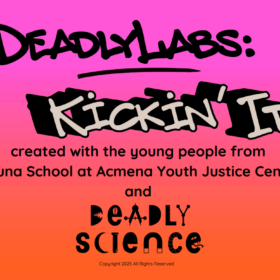 Deadly Labs Kickin' It Flash Cards